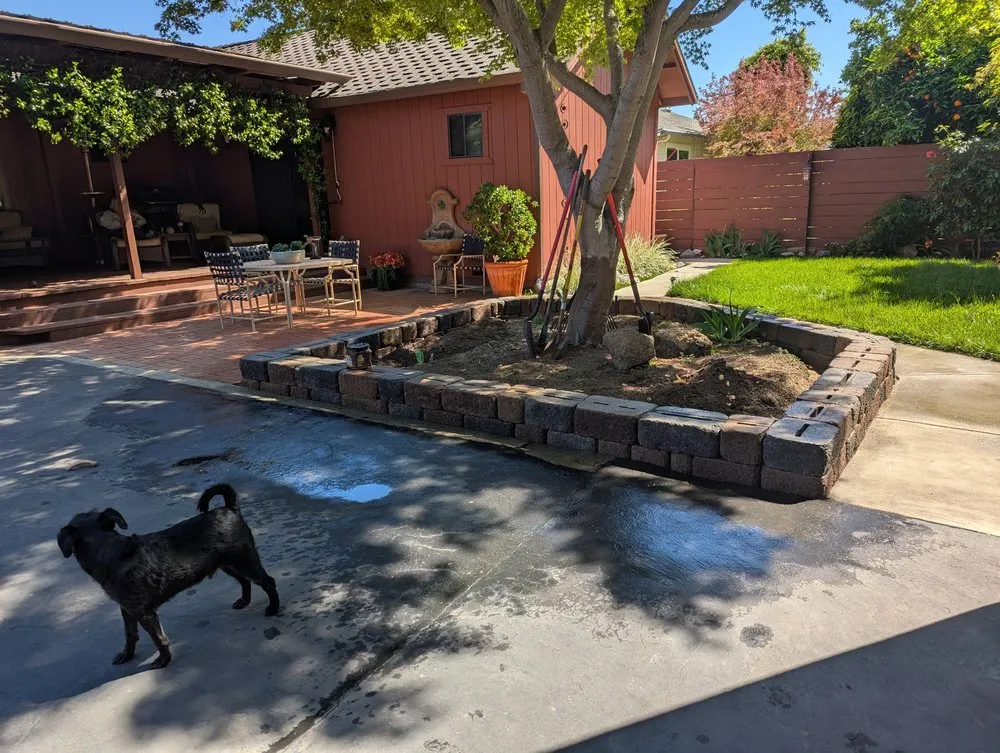 Affordable yard cleanup service in Richmond, CA - JP’s Service Co.