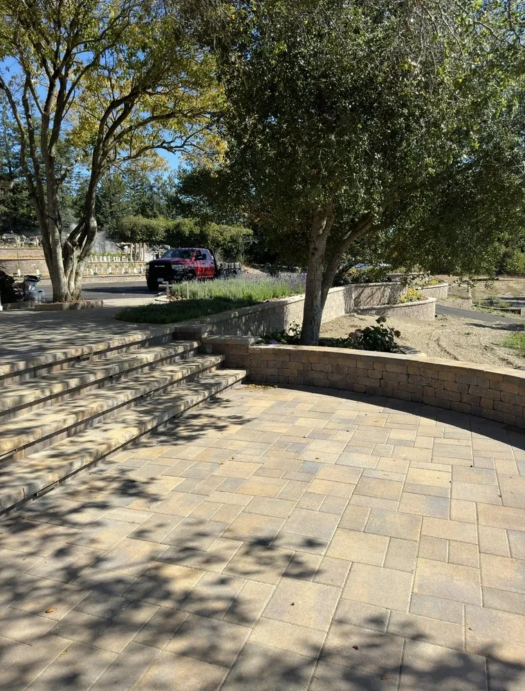 Professional lawn care service in Richmond, CA - JP’s Service Co.