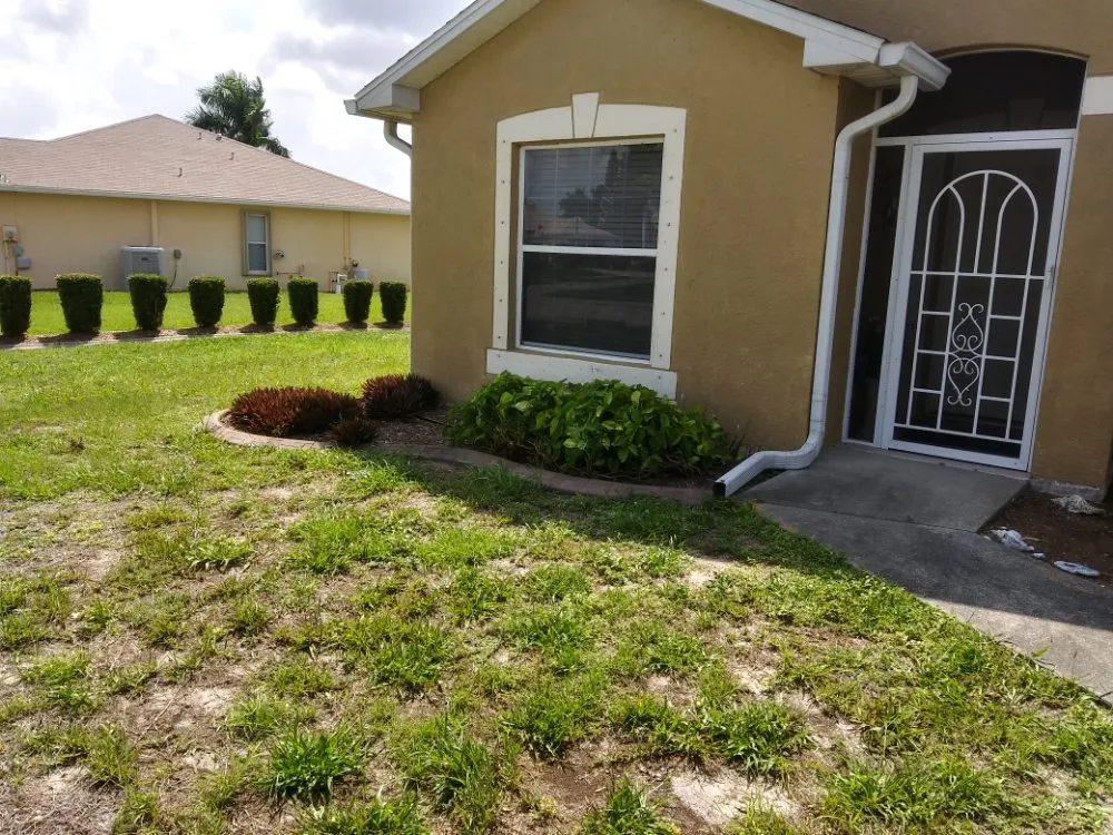 Local yard maintenance in Englewood, FL by JP's Tree's Landscaping & Design
