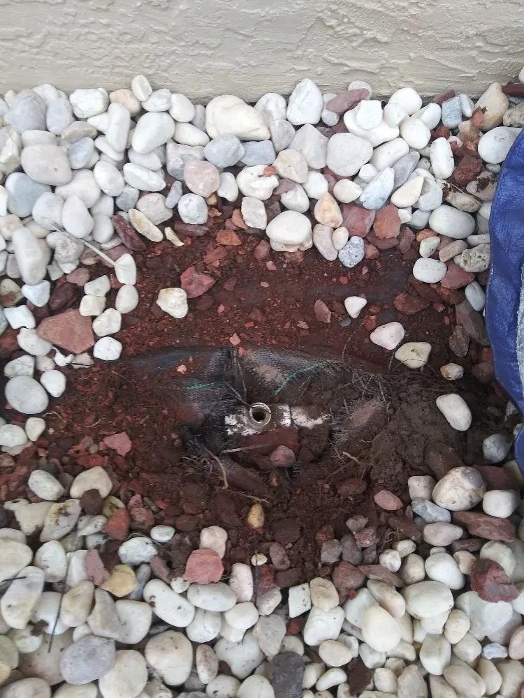 Custom garden landscaping for residential properties in Englewood, FL by JP's Tree's Landscaping & Design