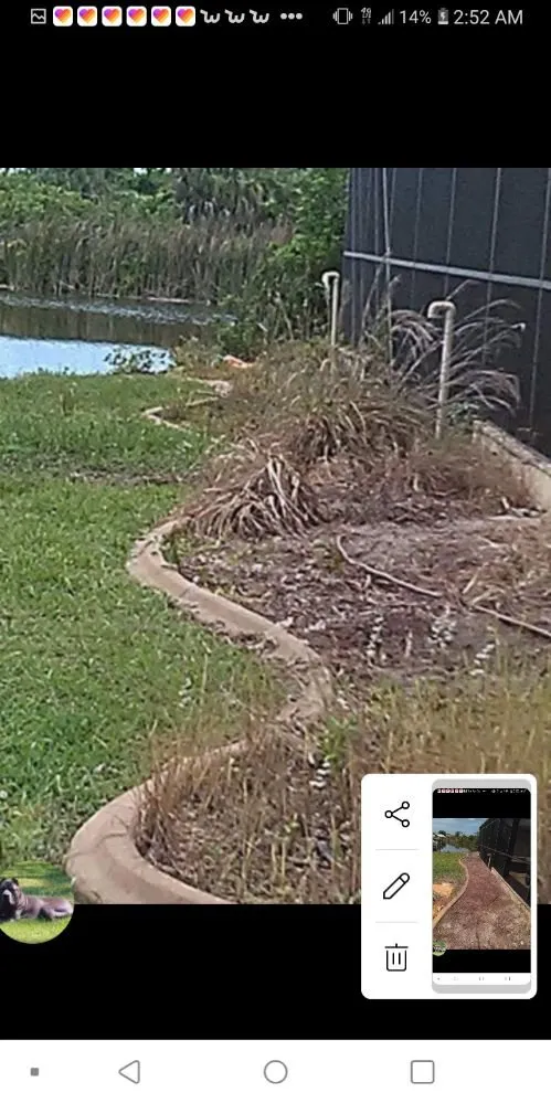 Custom yard maintenance in Englewood, FL - JP's Tree's Landscaping & Design