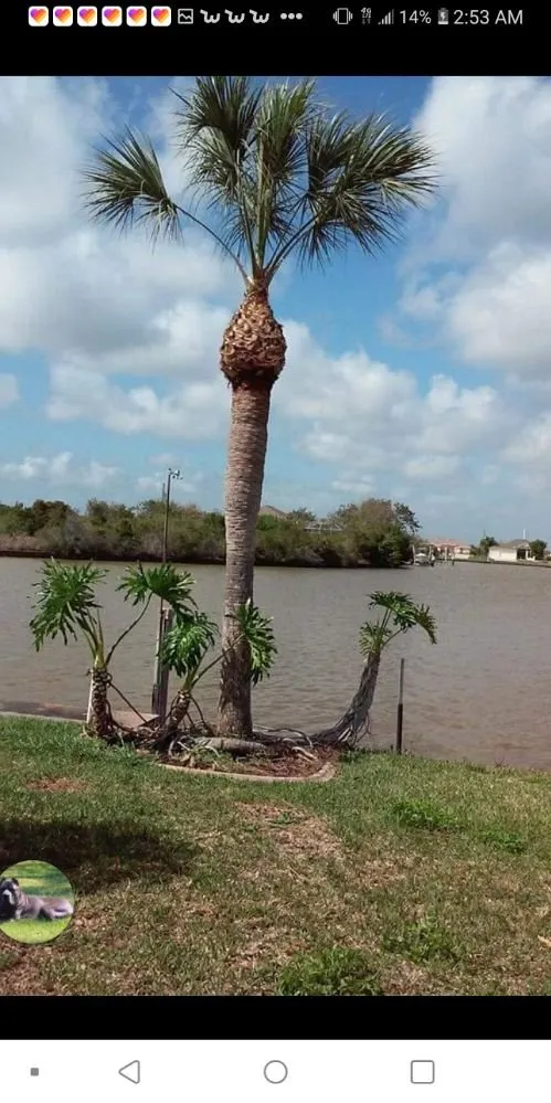 Professional residential landscaping experts serving Englewood, FL - JP's Tree's Landscaping & Design