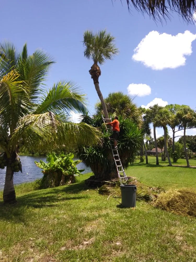 Custom residential landscaping with custom design across Englewood, FL - JP's Tree's Landscaping & Design