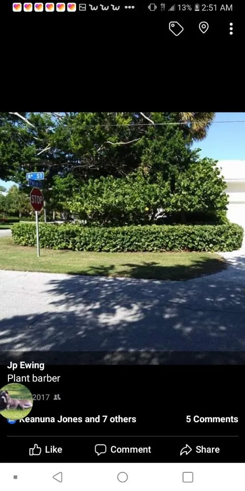 Affordable lawn care service in Englewood, FL by JP's Tree's Landscaping & Design