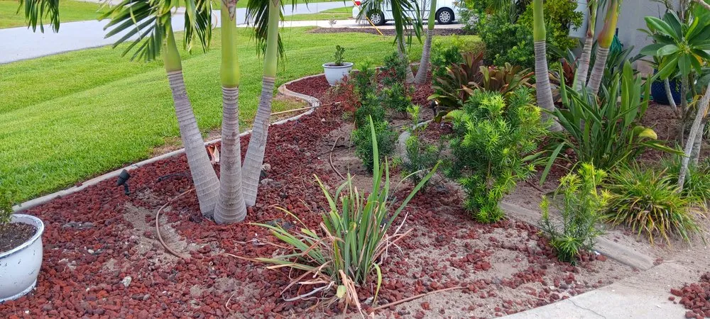 Reliable yard cleanup service for homes across Englewood, FL - JP's Tree's Landscaping & Design