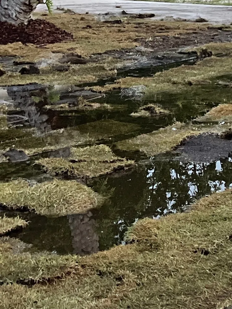 Top-rated lawn mowing service in Ocala, FL - Jps Turf Management