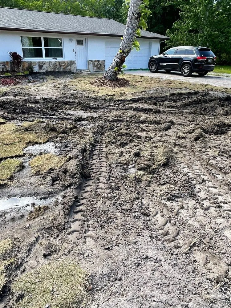 Top-rated residential landscaping experts serving Ocala, FL - Jps Turf Management