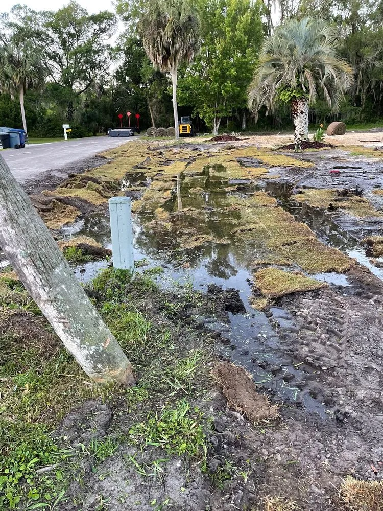 Top-rated yard cleanup service experts serving Ocala, FL - Jps Turf Management