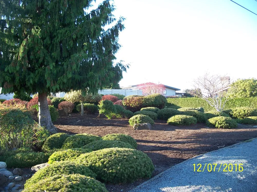 Affordable residential landscaping in Tacoma, WA - Jp's Yard & Landscape Service