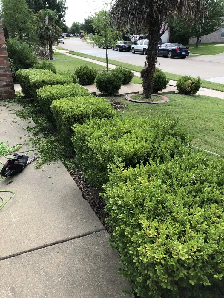 Trusted landscaping services in Watauga, TX by JQ Lawn Service
