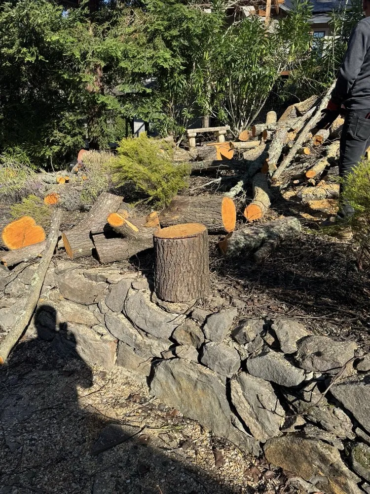 Affordable yard maintenance in Santa Rosa, CA - JQ Services