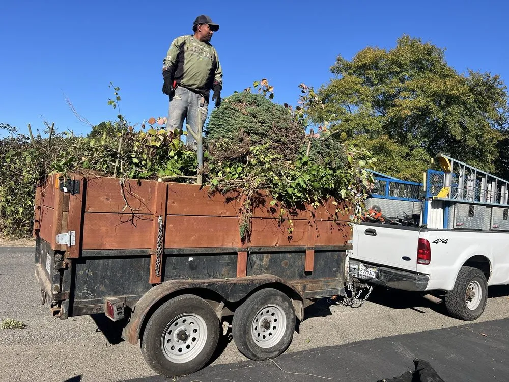 Expert lawn mowing service in Santa Rosa, CA - JQ Services