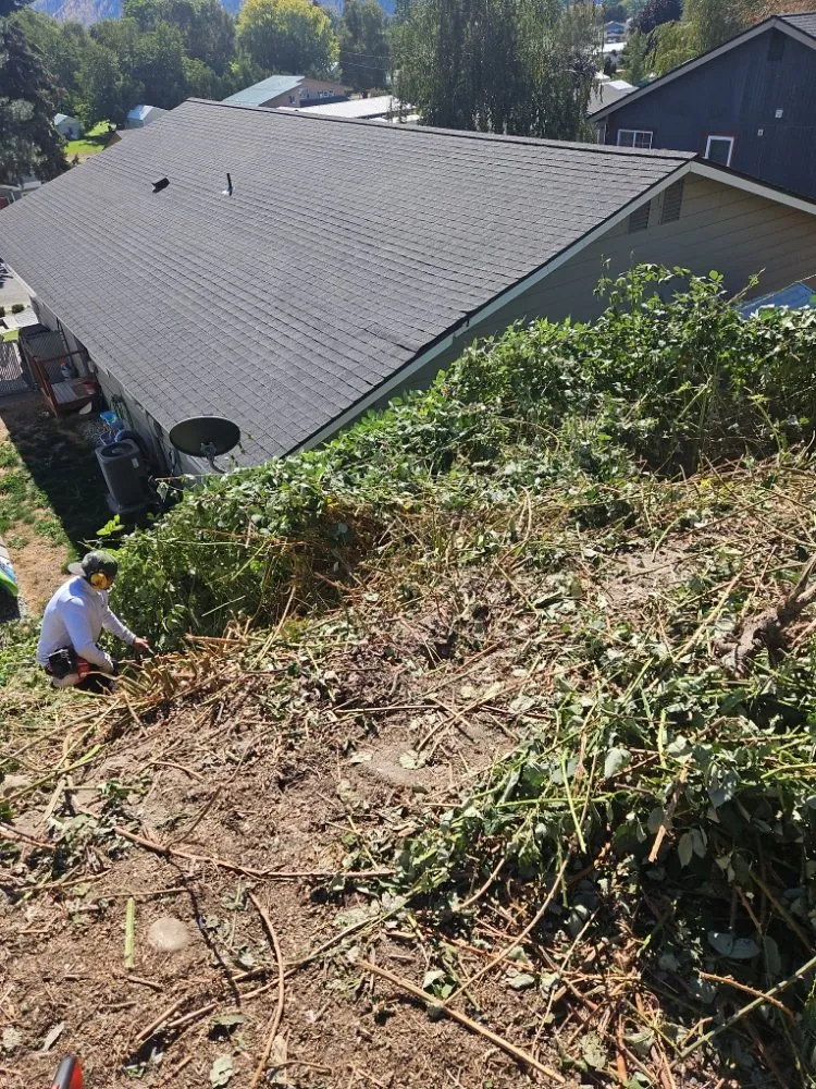 Professional lawn care service in East Wenatchee, WA by JR & Angi Landscaping