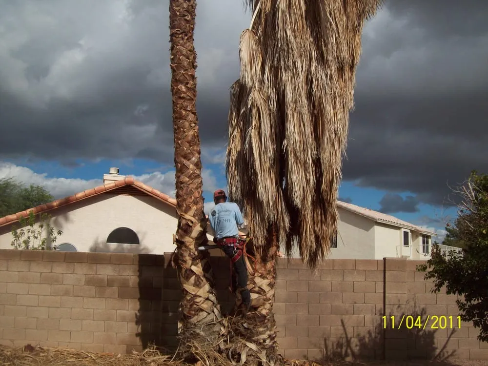 Expert landscape installation for homes in Apache Junction, AZ by JR & D Landscaping