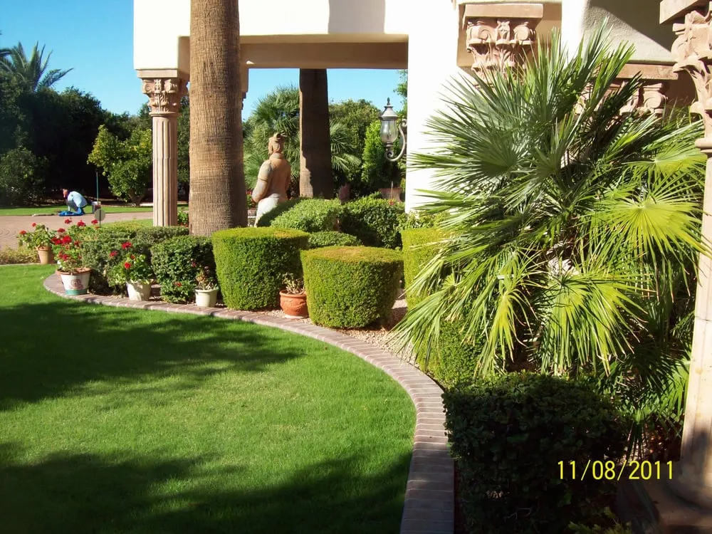 Local landscape design experts serving Apache Junction, AZ - JR & D Landscaping