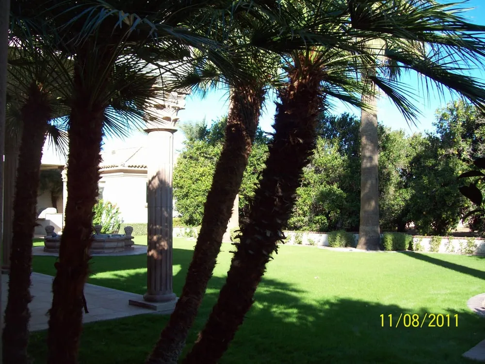 Custom lawn care service for residential properties in Apache Junction, AZ by JR & D Landscaping