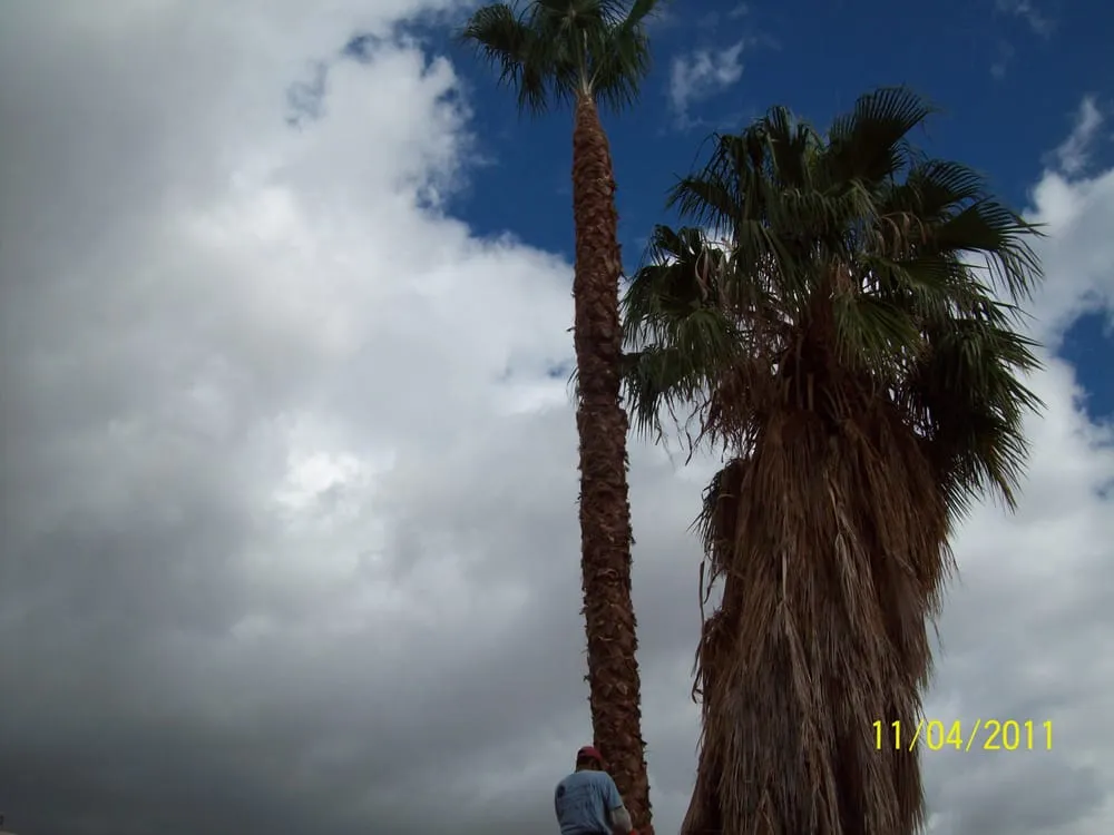 Expert outdoor landscaping experts serving Apache Junction, AZ - JR & D Landscaping