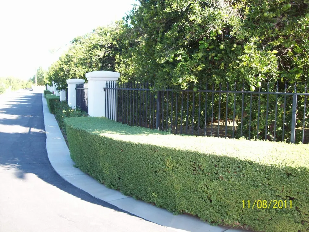 Affordable lawn care service for residential properties across Apache Junction, AZ - JR & D Landscaping