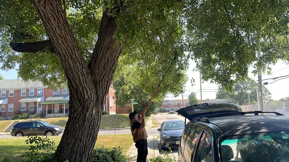 Affordable outdoor landscaping in Baltimore, MD - JR & Mundo Landscaping