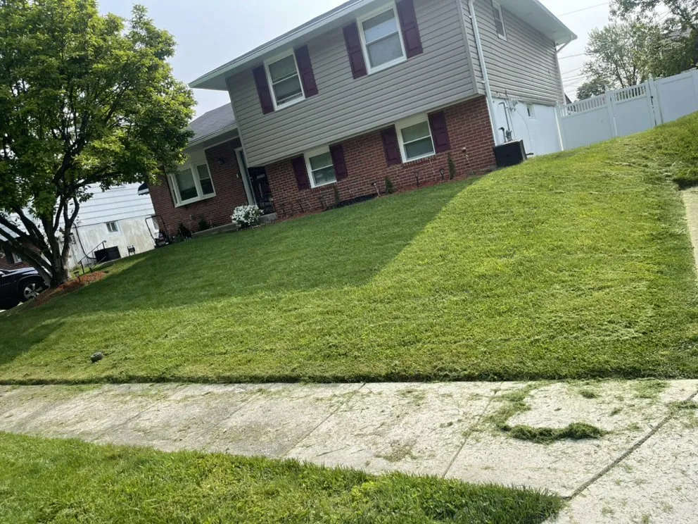 Professional landscaping services in Baltimore, MD by JR & Mundo Landscaping