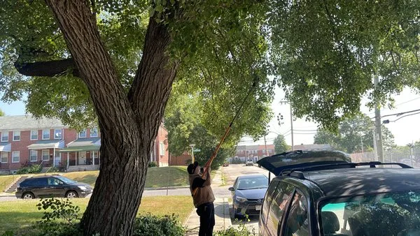 JR & Mundo Landscaping Logo