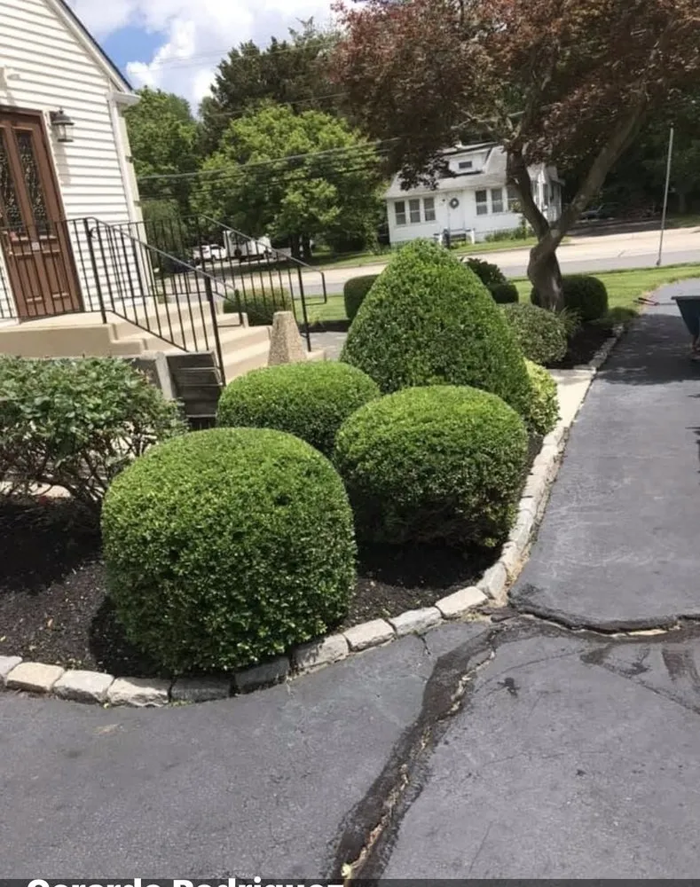Custom yard cleanup service in Runnemede, NJ - JR & Rodriguez