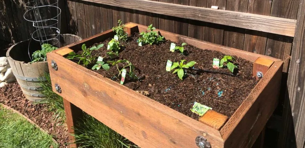 Local landscape design experts serving Paso Robles, CA - Jr. & Sr. Landscaping