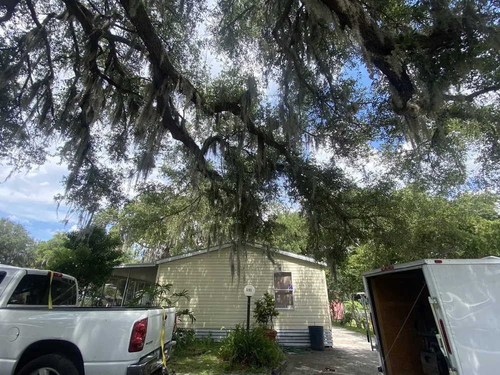 Professional yard cleanup service for beautiful yards across St Cloud, FL - J&R All-Star Lawn Care And Garden Services