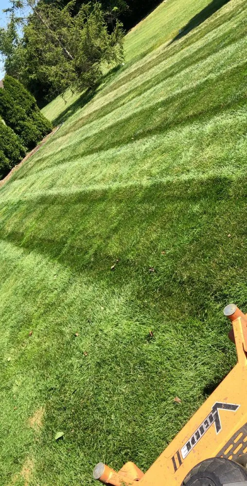Affordable lawn care service in Flat Rock, MI by J.R. And Sons Services