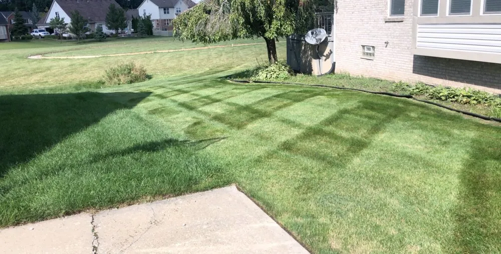 Professional yard cleanup service in Flat Rock, MI - J.R. And Sons Services