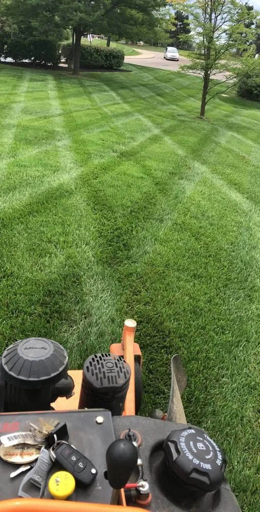 Top-rated yard cleanup service for beautiful yards in Flat Rock, MI by J.R. And Sons Services