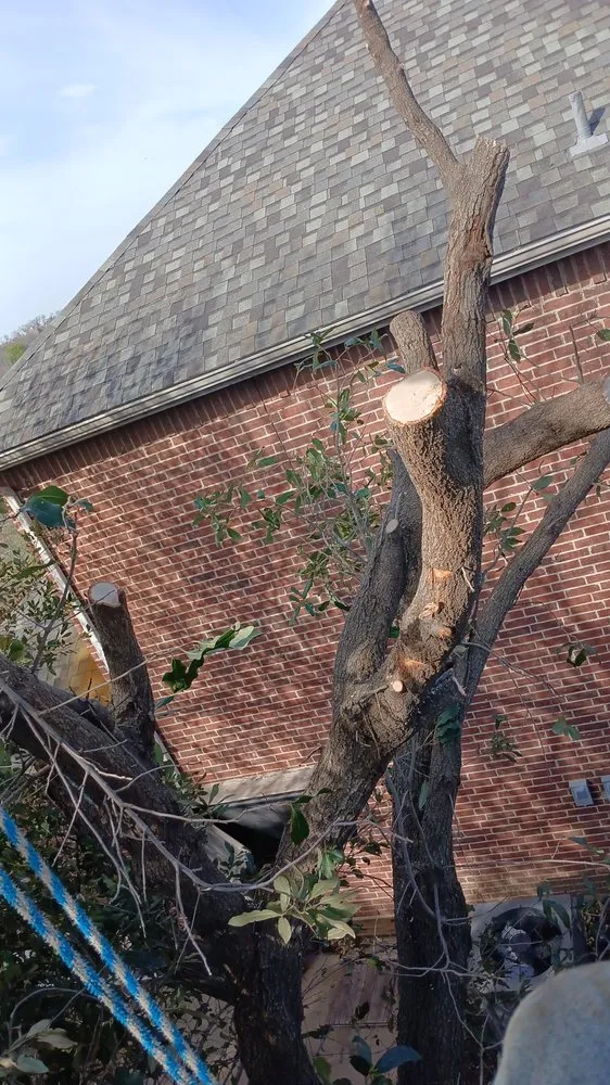 Local outdoor landscaping for homes in Lewisville, TX by Jr Antonio Landscaping