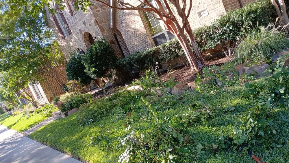 Top-rated landscape design in Lewisville, TX - Jr Antonio Landscaping
