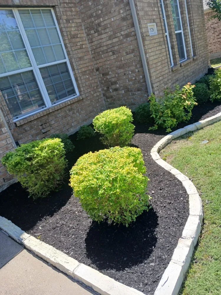 Reliable residential landscaping in Lewisville, TX by Jr Antonio Landscaping