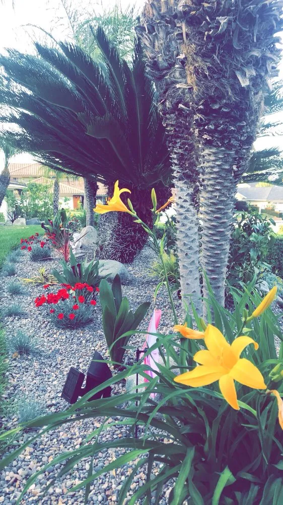 Expert landscape design experts serving Hacienda Heights, CA - JR Artistic Landscaping