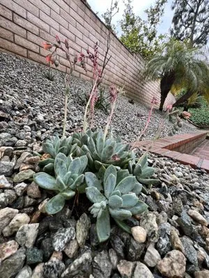 JR Artistic Landscaping