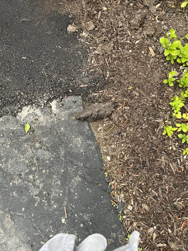 Affordable lawn mowing service for outdoor upgrades in Mequon, WI by J.R. Boehlke