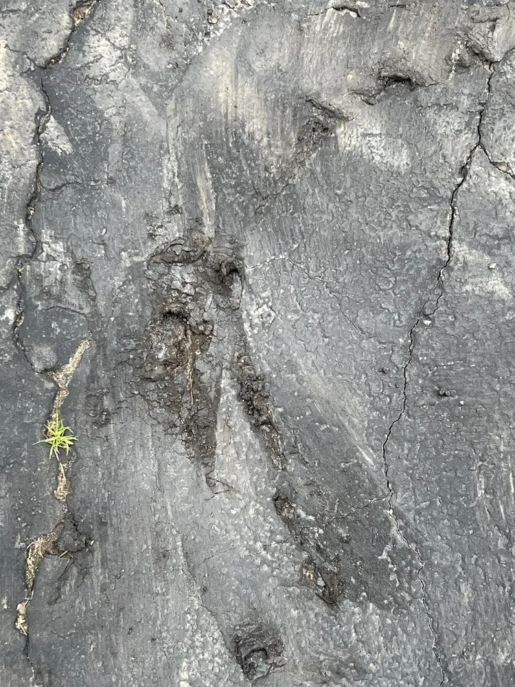 Custom outdoor landscaping for beautiful yards in Mequon, WI by J.R. Boehlke