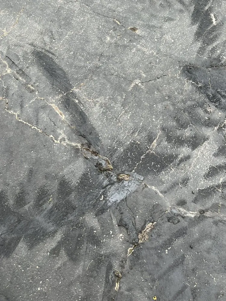 Trusted lawn mowing service experts serving Mequon, WI - J.R. Boehlke