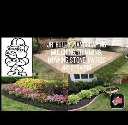 Jr Bully Landscape