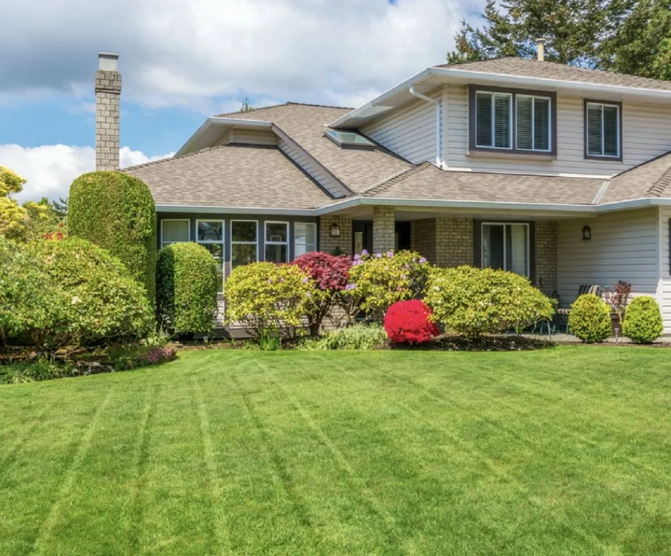 Custom yard cleanup service with custom design across Dallas, TX - Jr Campos Landscaping