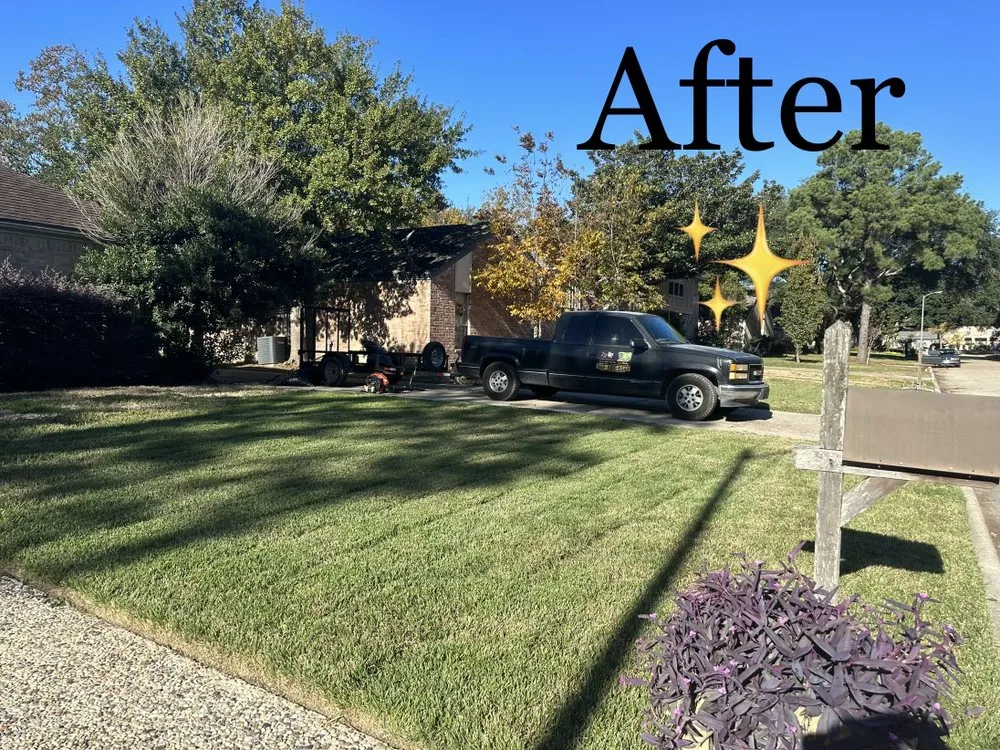 Trusted yard cleanup service in Houston, TX by Jr Champion Landscaping