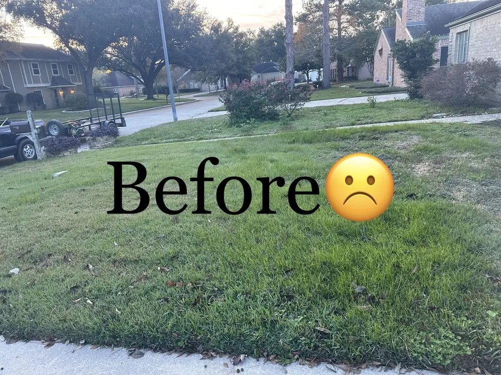 Trusted landscape installation in Houston, TX by Jr Champion Landscaping