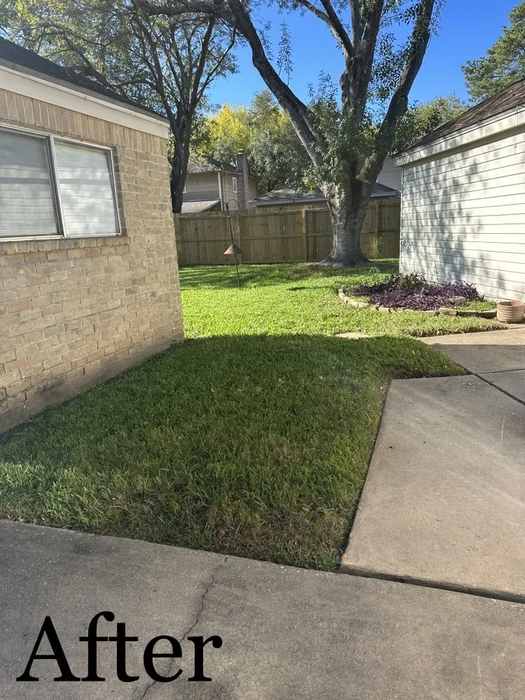 Top-rated residential landscaping for year-round maintenance in Houston, TX by Jr Champion Landscaping