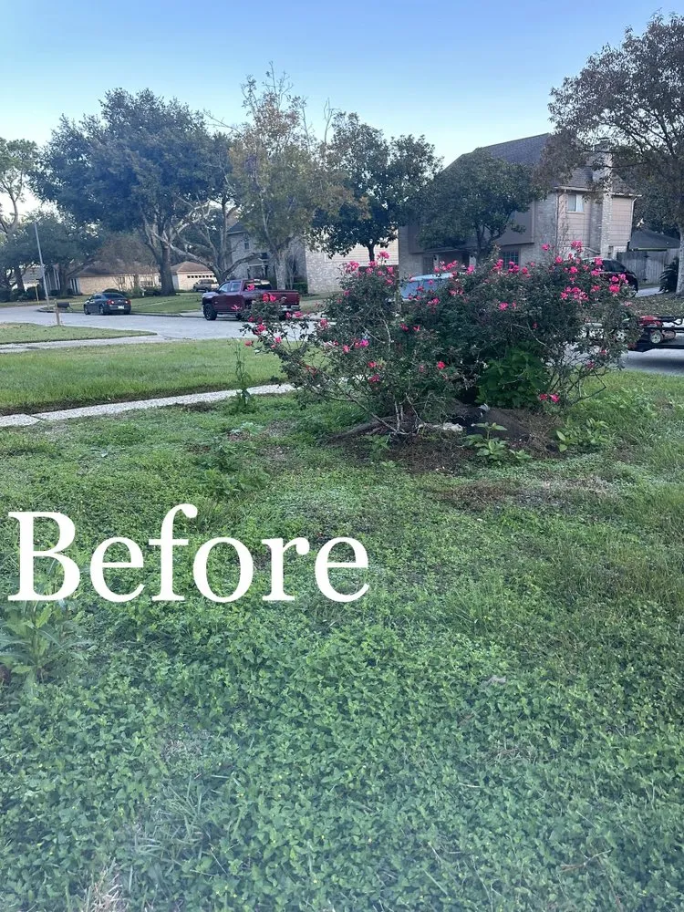 Reliable lawn mowing service with custom design in Houston, TX by Jr Champion Landscaping