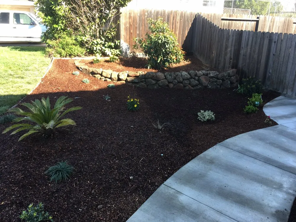 Top-rated landscaping services for year-round maintenance in Livermore, CA by JR Concepts Landscape Contractors