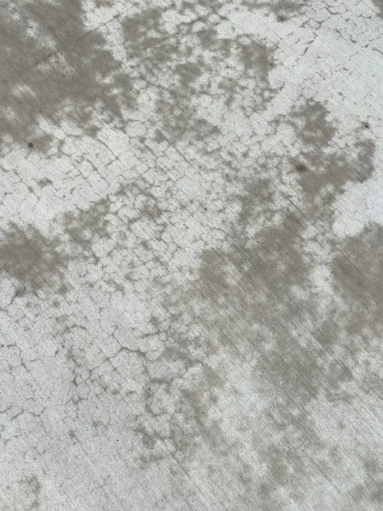 Top-rated residential landscaping in Powell, TN by JR Concrete