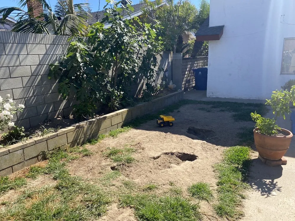 Local lawn care service for year-round maintenance in Long Beach, CA by JR Custom Landscaping