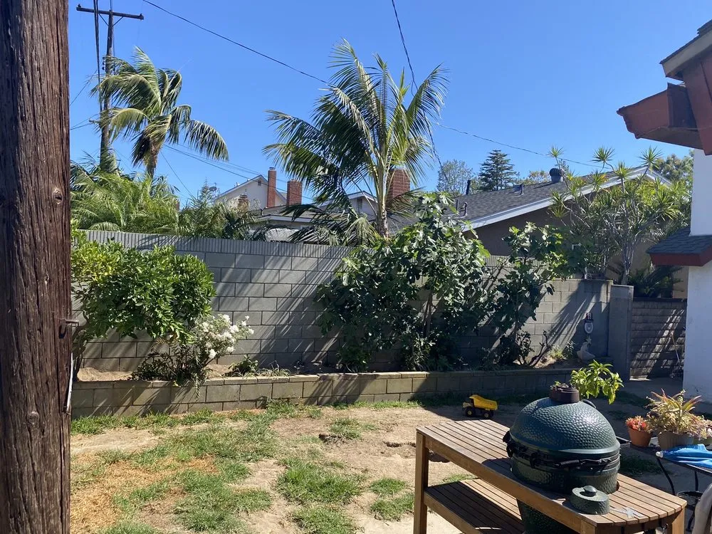 Expert yard maintenance in Long Beach, CA by JR Custom Landscaping