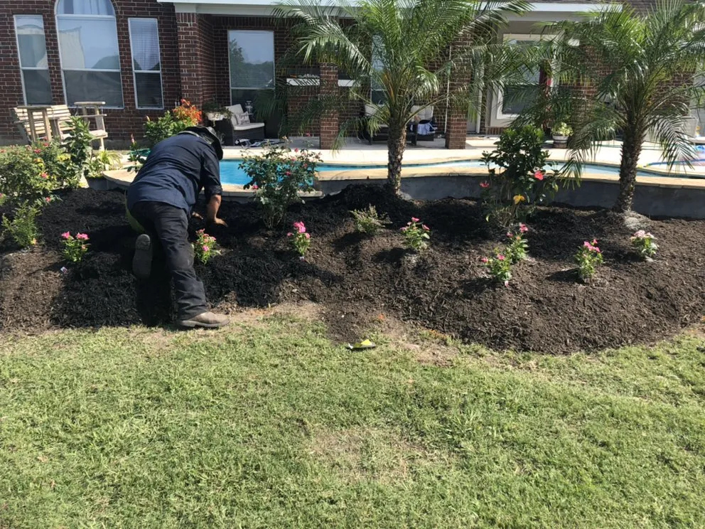 Trusted lawn mowing service in Crosby, TX by JR Flores Landscape Services